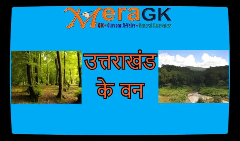 Uttarakhand Forest