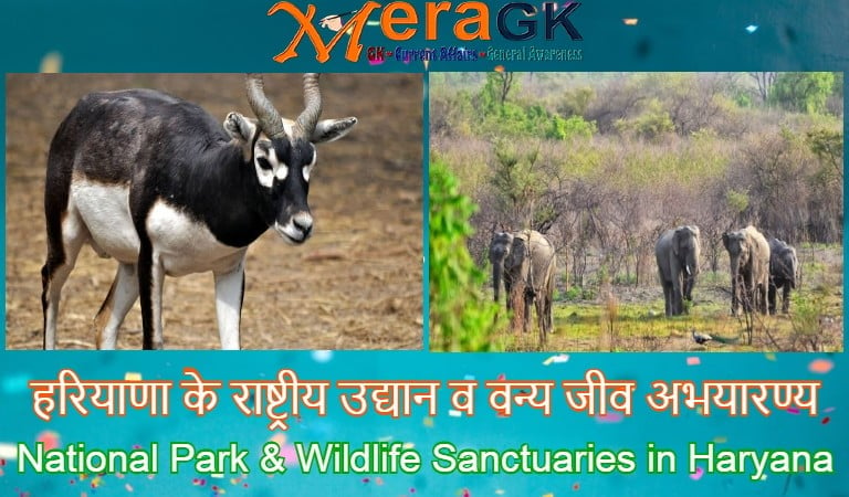 national park and wildlife sanctuaries in haryana