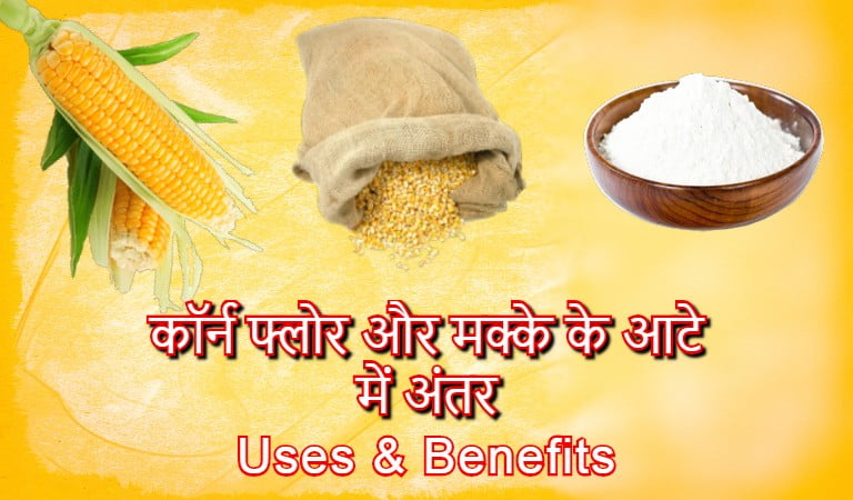 corn flour in hindi