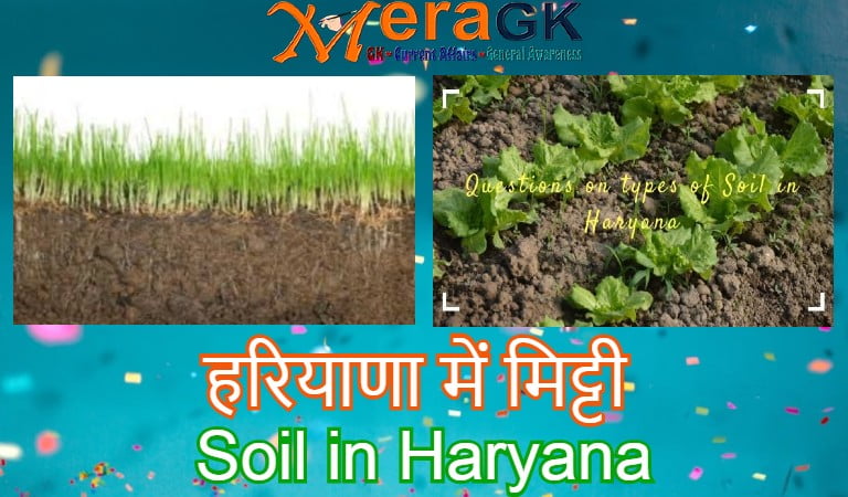 soil in haryana, haryana me mitti