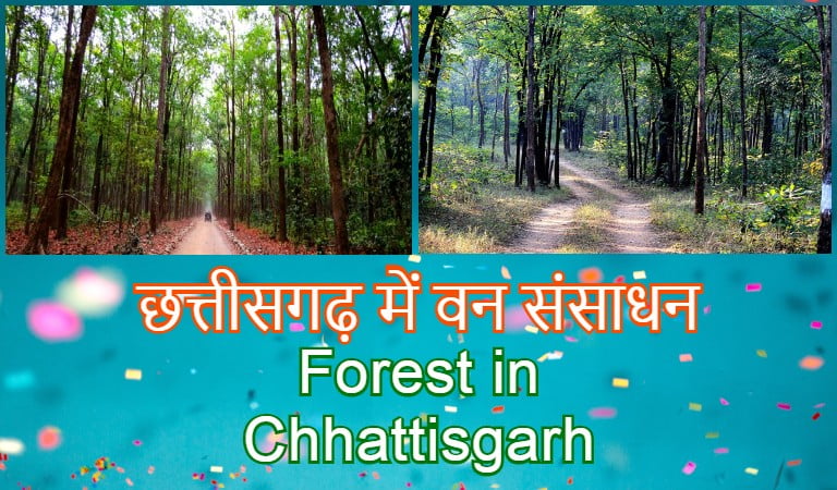 forest in chhattisgarh