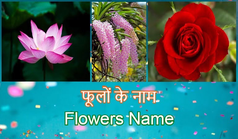 flowers name