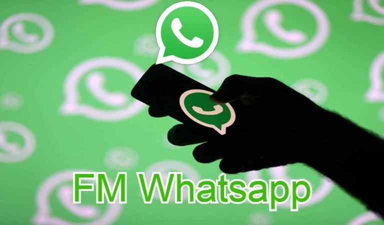 FM WhatsApp (2022) APK Download Link - How to Download FM WhatsApp?