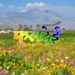 फूलदेई, fooldei, phooldei, fool dei, phool dei