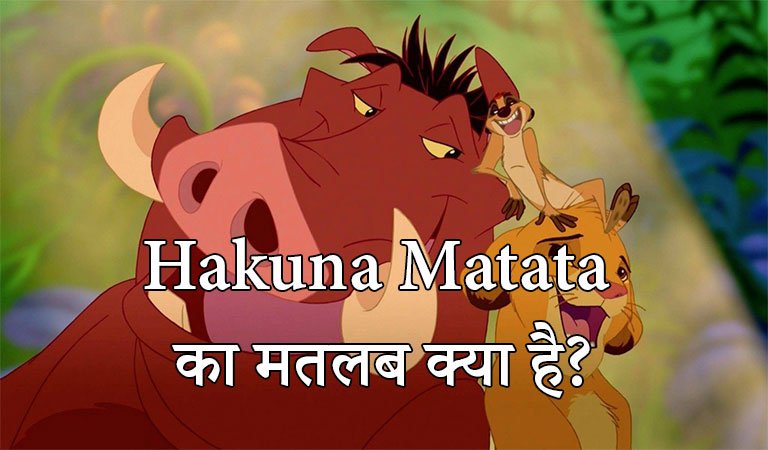 hakuna matata meaning in hindi
