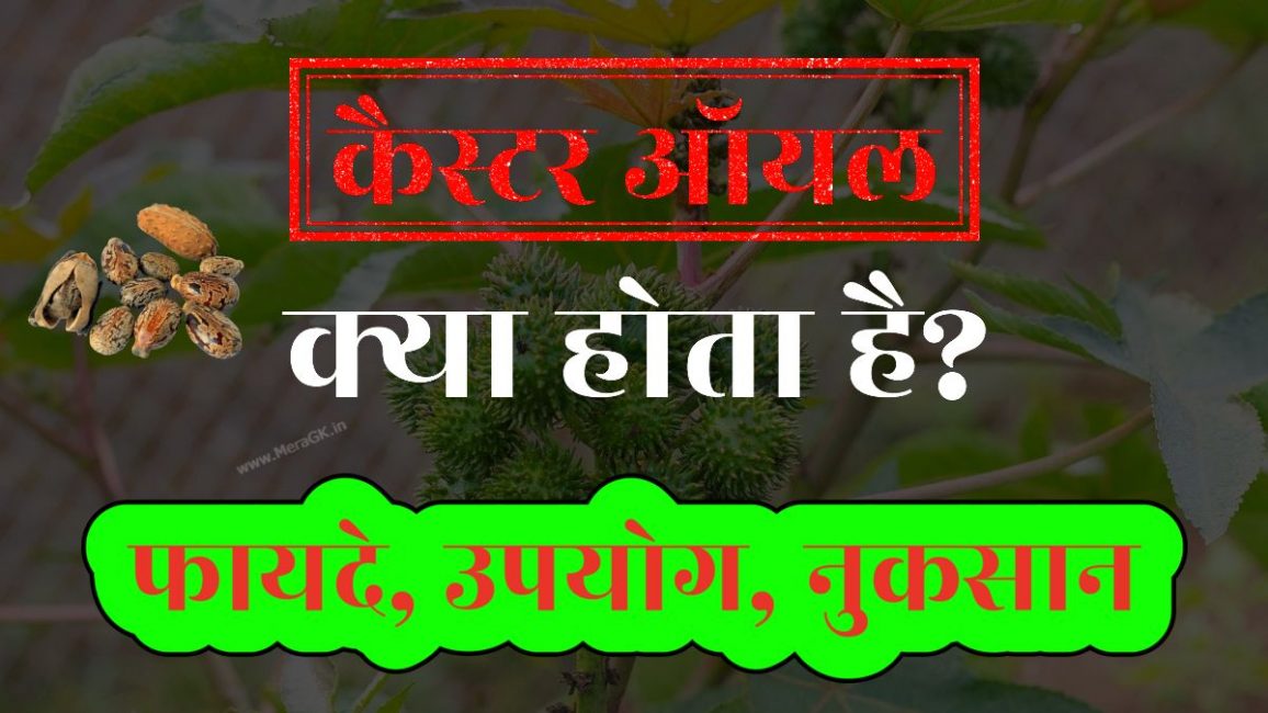 castor oil in hindi uses benefits